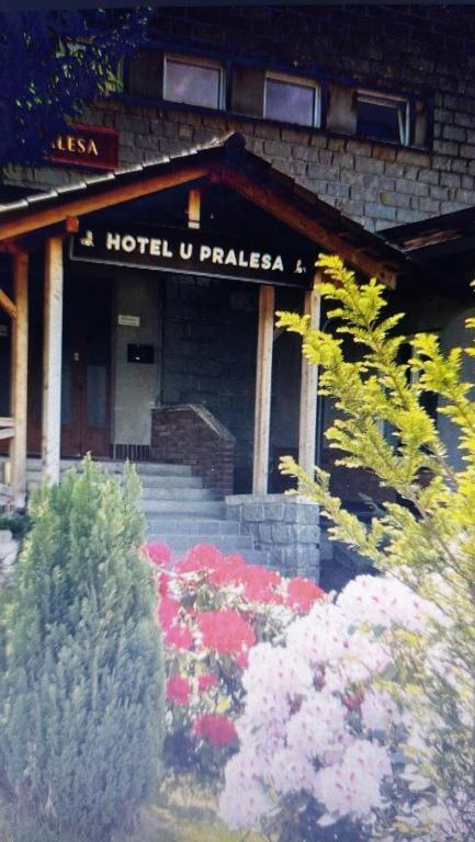 Apartmán Kopretina Cerne Udoli Exteriér fotografie
