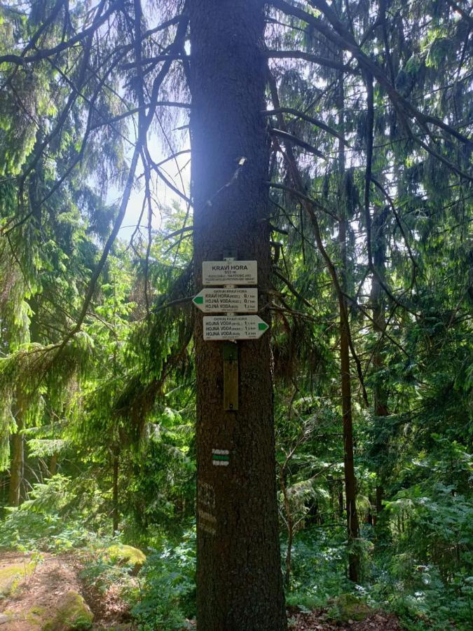 Apartmán Kopretina Cerne Udoli Exteriér fotografie