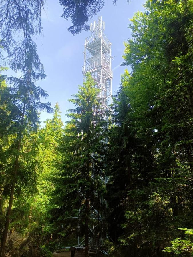 Apartmán Kopretina Cerne Udoli Exteriér fotografie