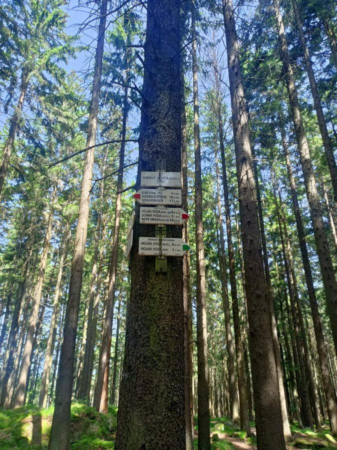 Apartmán Kopretina Cerne Udoli Exteriér fotografie